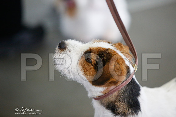 _JJ_2213-DallasJul2014-HR3
