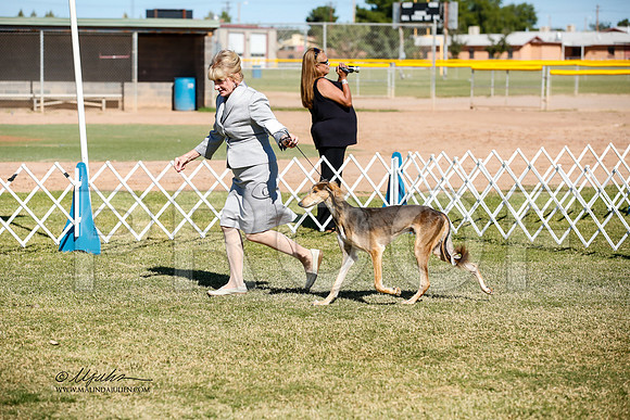 _JJ_2661-AlamogordoOct2014-HR3