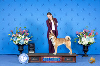 Shikoku #5 SAT FSS G2 Judge Angela Pickett