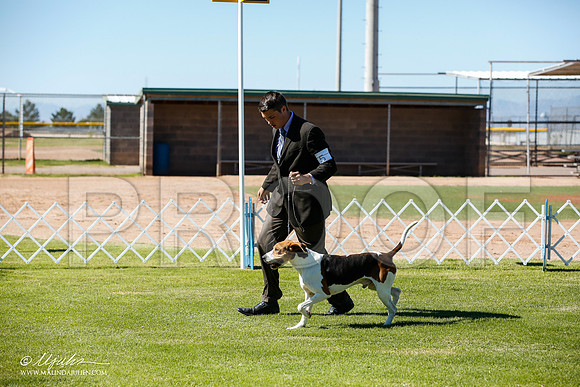 _JN_5931-AlamogordoOct2014-HR3