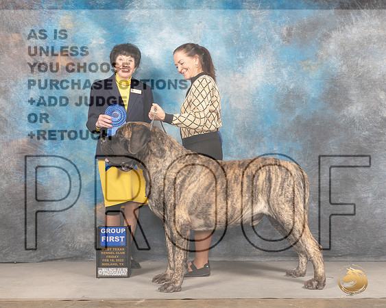 Mastiff #5 Fri G1 Judge Barbara AldermanMMJ_3319_Mdlnd2022_HR3