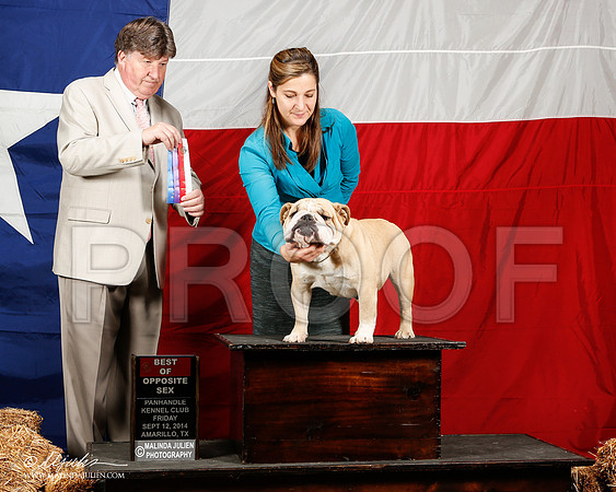 _ST_1478-2-AmarilloSep2014-HR3