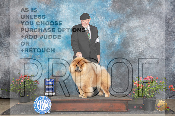 Chow Chow #5 Sun G1 Judge Polly (Mrs Robert) D Smith__JP_6364_San Antonio_2024_HR3
