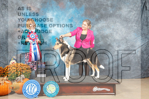 Smooth Collie #7 Sat BIS Judge Shelley Hennessey_MJ_6147_Belton_2022_HR3