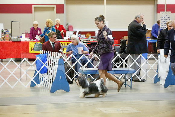 _JJ_4387-AmarilloSept2014-HR3