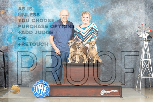 Biewer Terrier #15 FamilyThurs_MJ_3506_Amarillo_2022_HR3
