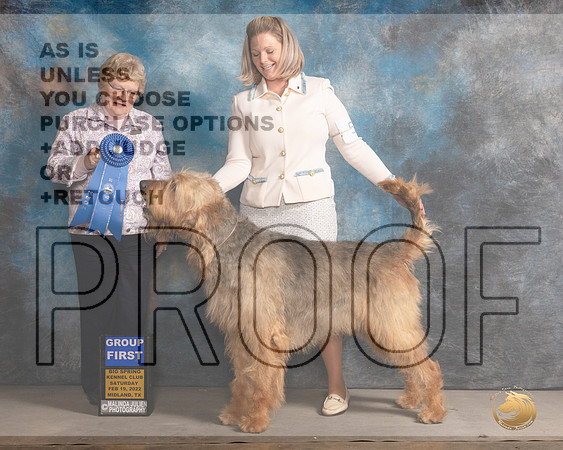 Otterhound #5 Sat G1 Judge Judy BrownMMJ_4800_Mdlnd2022_HR3
