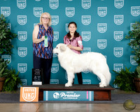Astrid Rapoza UKC Premier 2025