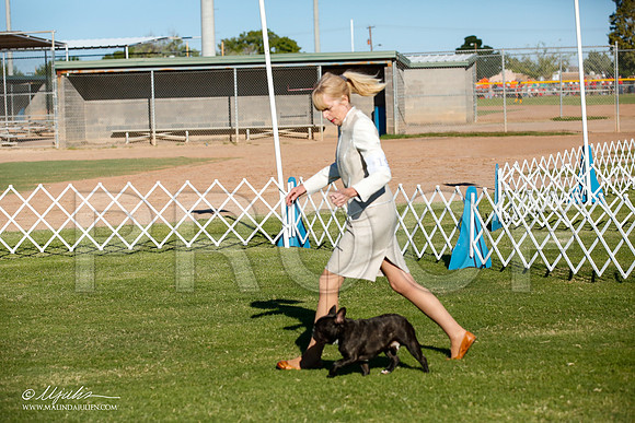 _JJ_6318-AlamogordoOct2014-HR3
