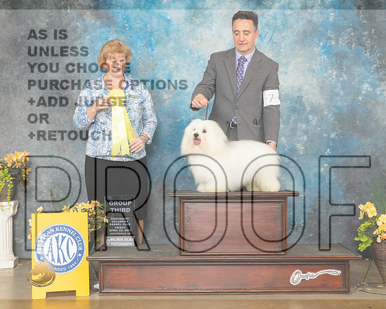 Coton #7 Fri G3 Judge Betty Pollock-MMJ_9900-NWARK2022-HR3