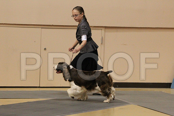 MJS_3119