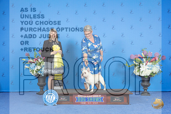 French Bulldog #11 FRI G3 Judge Angela Pickett__JP_9564_Houston_2024_HR3