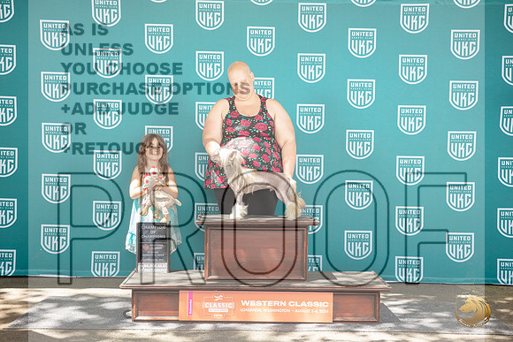 Chinese Crested #251 Sunn Ch of Ch No Judge__JP_1901_Longview WA_2024_HR3