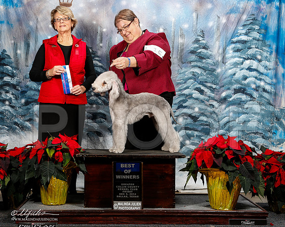 _ST_8125-2-DallasDec2014-HR3