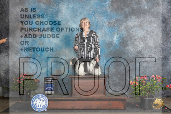 Havanese #6 Sat BOSGCH Judge Christine Martinez__JP_5892_San Antonio_2024_HR3