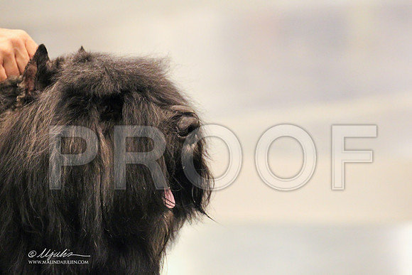 Bouv-3484 PROOF