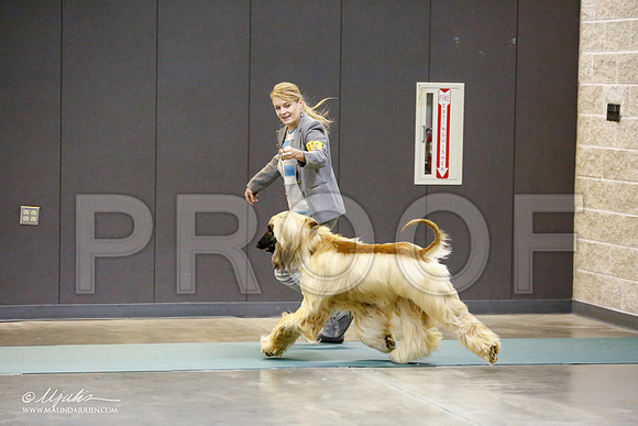 _RH_0736-BeltonJan2015-HR3