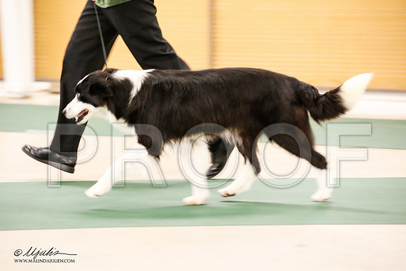 _JN_9536-NrmnNov2014-HR3