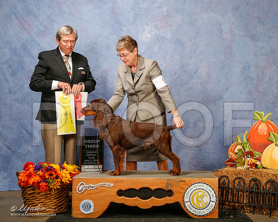 _CL_4662-3-SanAngelo2014-HR3