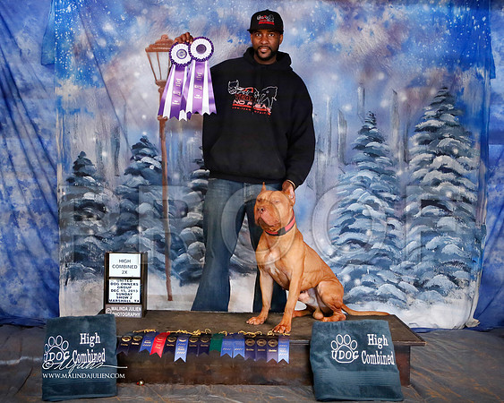 APBT-6952-MrshlDec13-HR