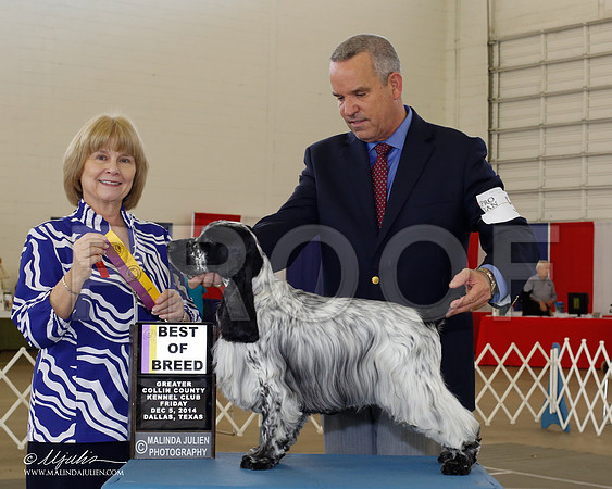 _CL_5283-2-DallasDec2014-HR3