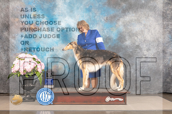 Borzoi #10 THUR BOW Major Judge Robert Place_MJ_6614_Houston_2022_HR3