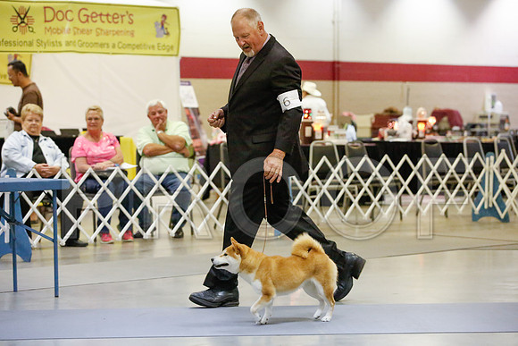 _JJ_0192-AmarilloSept2014-HR3