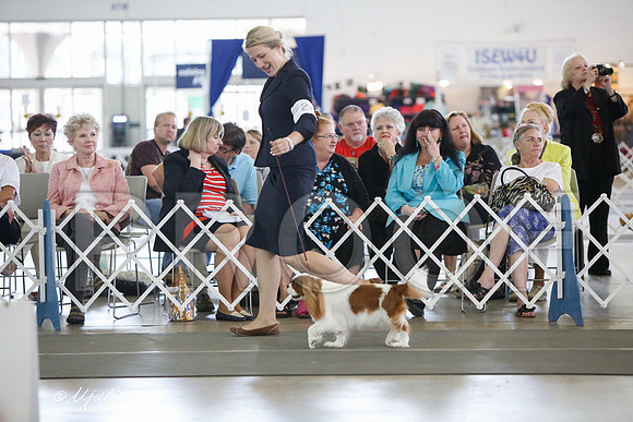 _JJ_3227-DallasJul2014-HR3