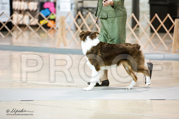_JJ_0768-ASCACollegeStationNov2014-HR3
