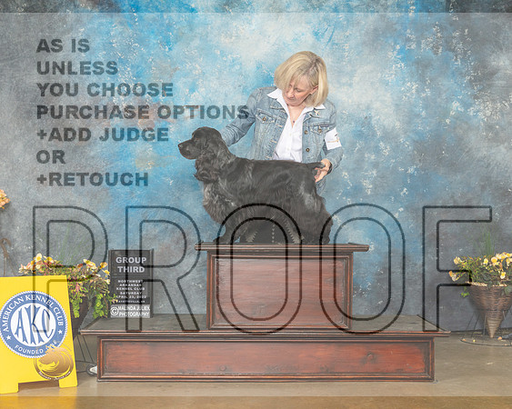 English Cocker Spaniel #7 Sun G3 Judge Jim Fehring-MMJ_1779-NWARK2022-HR3