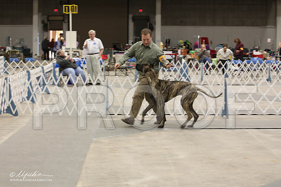IMG_9297-Abilene2011-HR3