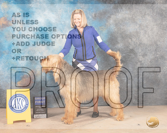 Otterhound #5 Sat G1 Judge Eric Liebes-MMJ_4352-Abilene2022-HR3