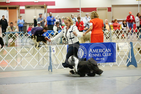 _JJ_8164-AmarilloSept2014-HR3