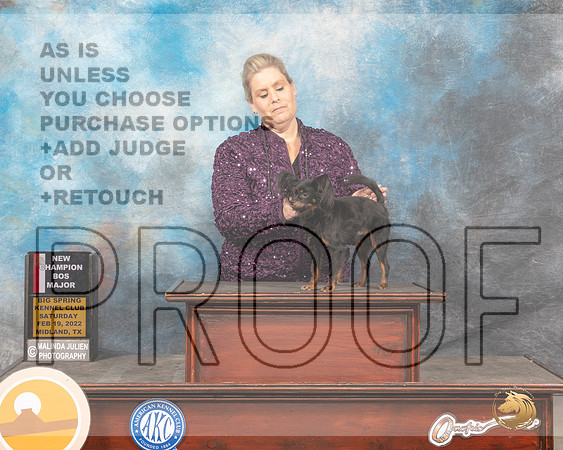 Russian Toy #9 Sat BOSWD Judge Donnelle RichardsMMJ_4469_Mdlnd2022_HR3