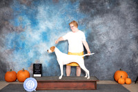 Pointer #6 Sat OHG3 Judge Tim Catterson