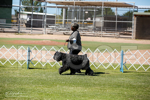 _JN_8876-AlamogordoOct2014-HR3