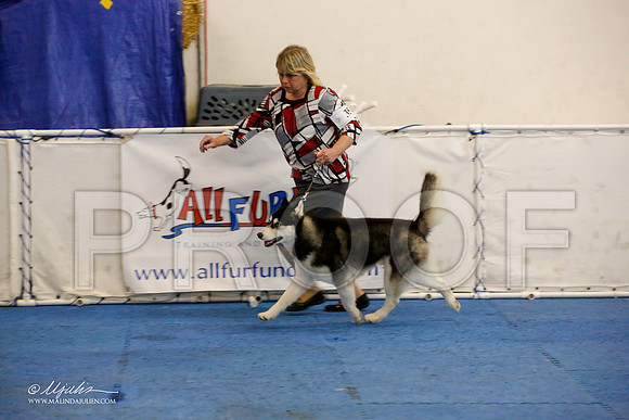 _M3_0025-AddisonHuskyMar2015-HR3