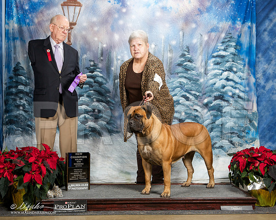 _ST_9062-DallasDec2014-HR3