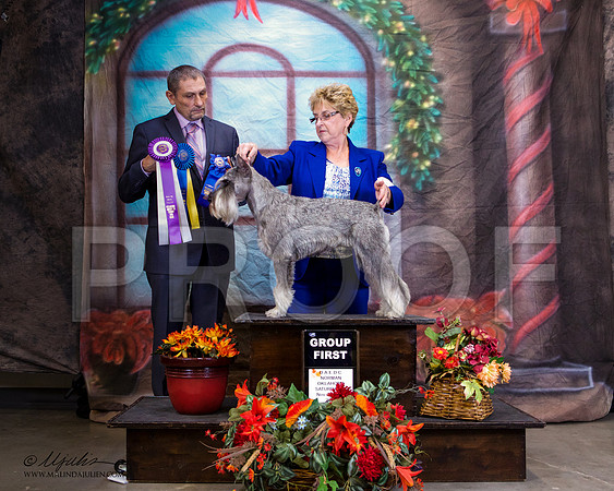 _ST_7136-NrmnNov2014-HR3
