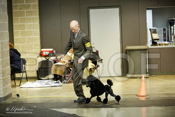_JJ_5878-BeltonJan2015IABCA-HR3