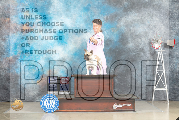 French Bulldog #7 Fri BOWOHBOB Judge Joan Liebes_MJ_3923_Amarillo_2022_HR3