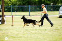 Senior Maturity Dogs Fri Ring