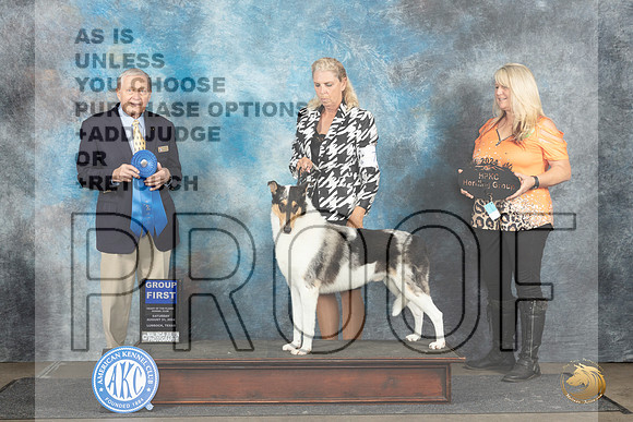 Collie Smooth #7 Sat G1 Judge David Bolus__JP_3693_Lubbock_2024_HR3