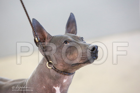 _JJ_7632-DallasJul2014-HR3