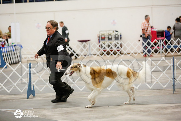 _RH_1763-AblnMay2014-web