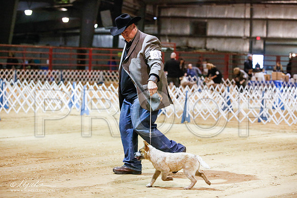 _JN_3938-2-GlenRoseJan2015-HR3