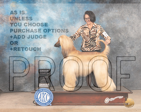 Afghan Hound #6 Sun G4 Judge Lori Nelson-MMJ_4935-Abilene2022-HR3