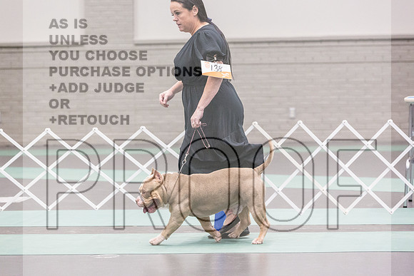 Bully Rings Fri Ring 1_JJL_6871_UKCLNGVIEWOCT2024_2024_HR3