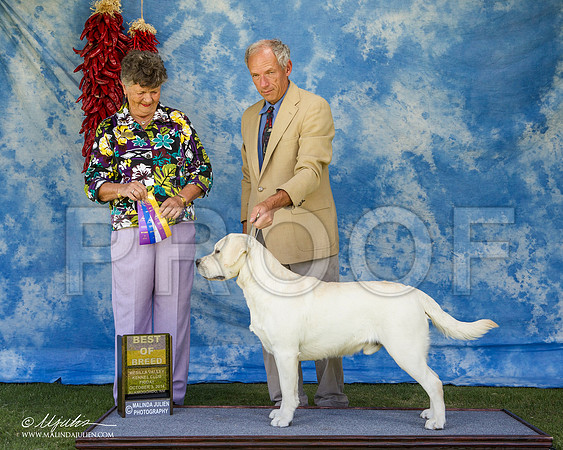 _ST_2682-AlamogordoOct2014-HR3