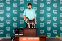 Alaskan Klee Kai #??? Thur COCBOB Judge Tony Raposo